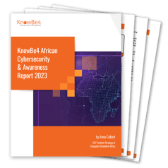 2023 African Cybersecurity and Awareness Report