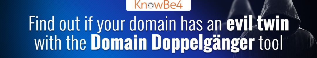 Domain Doppelgänger