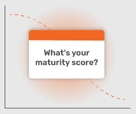 Program Maturity Assessment Chart
