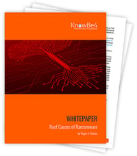 Download the Root Causes of Ransomware whitepaper