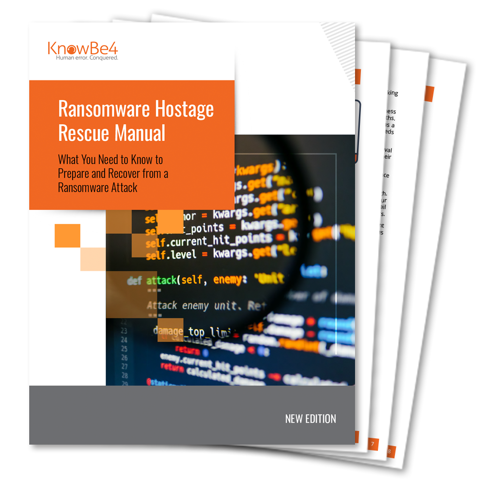 Ransomware Hostage Rescue Manual 2022